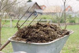 Temecula horse manure pickup | horse manure disposal service