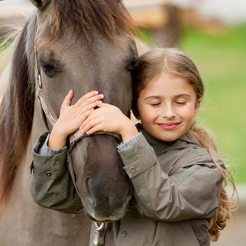 Temecula horse manure cleanup 