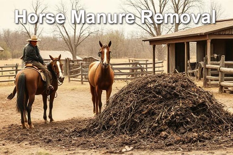 horse manure removal
