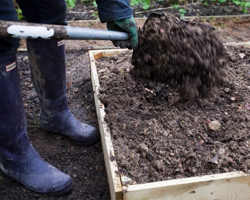 horse manure composting