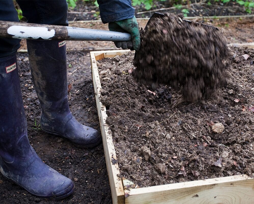 horse manure disposal