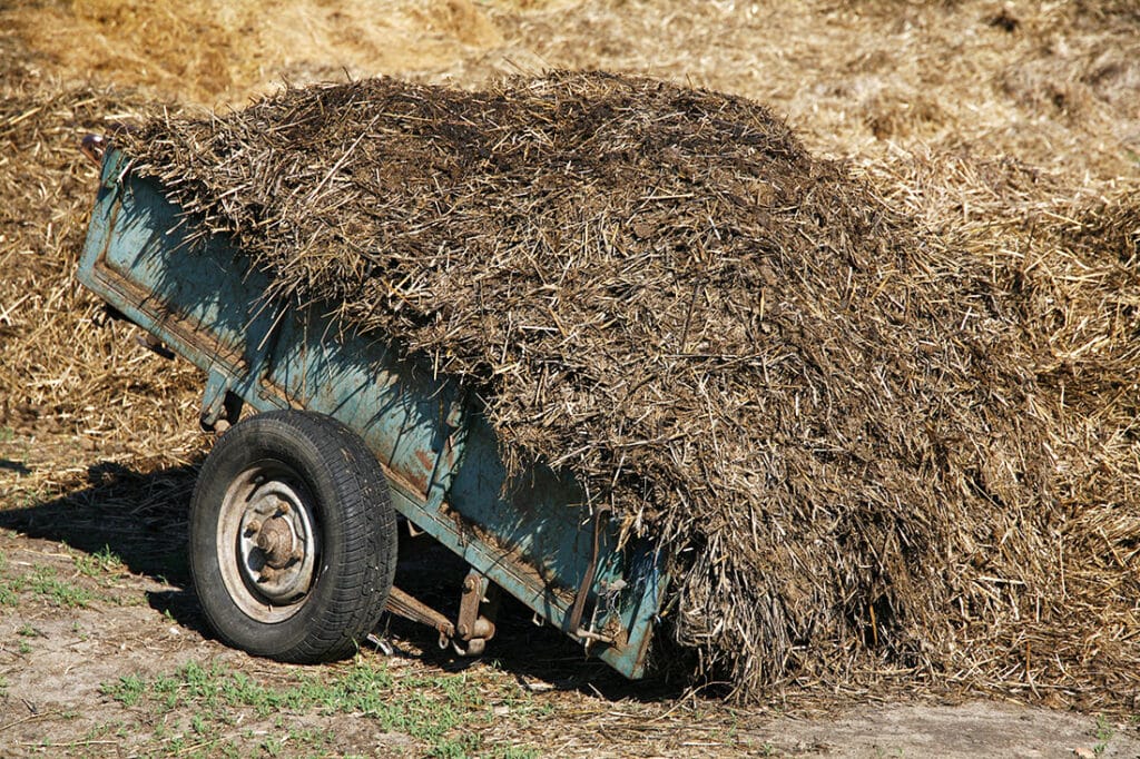 Temecula horse manure pickup | equine manure management