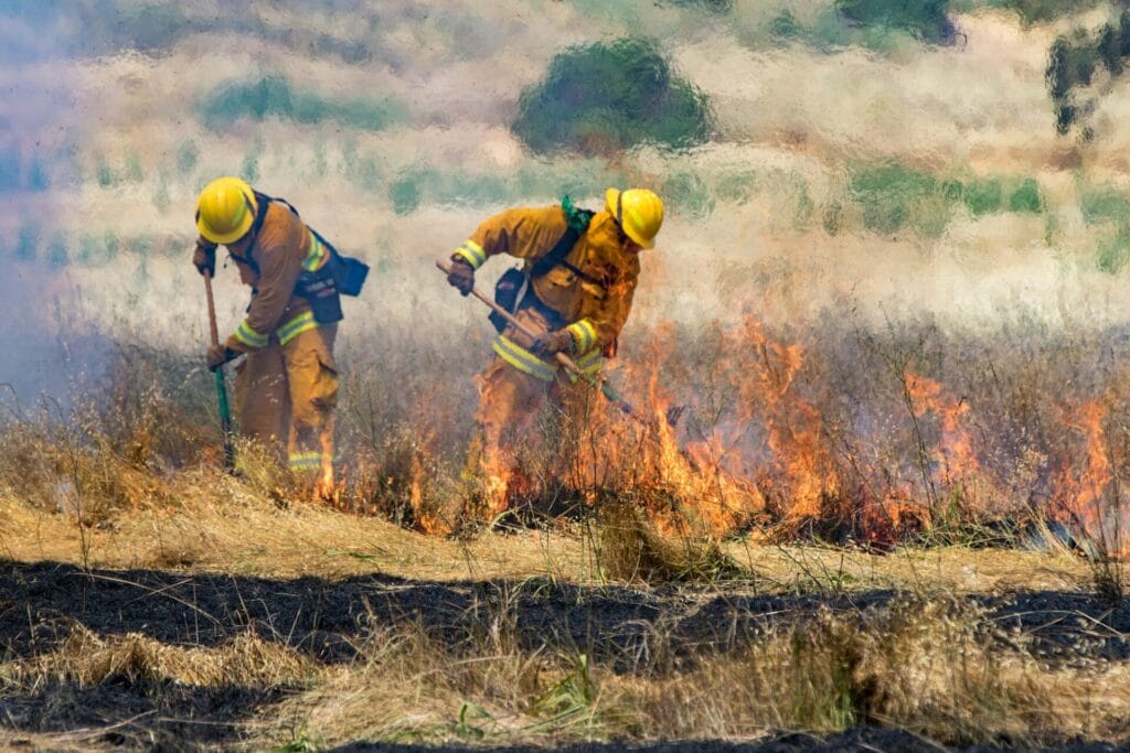 Hemet weed abatement