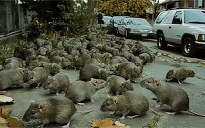 illegal dumping in Temecula