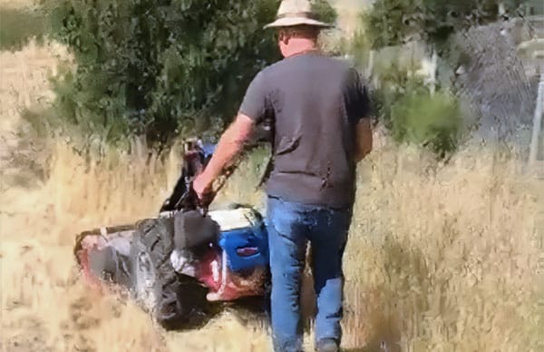 weed abatement service