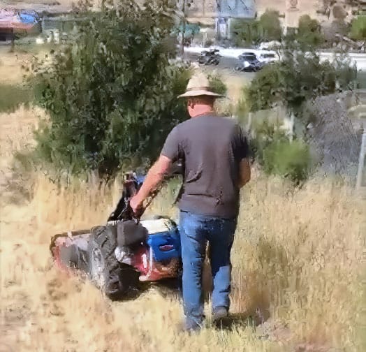 weed abatement service