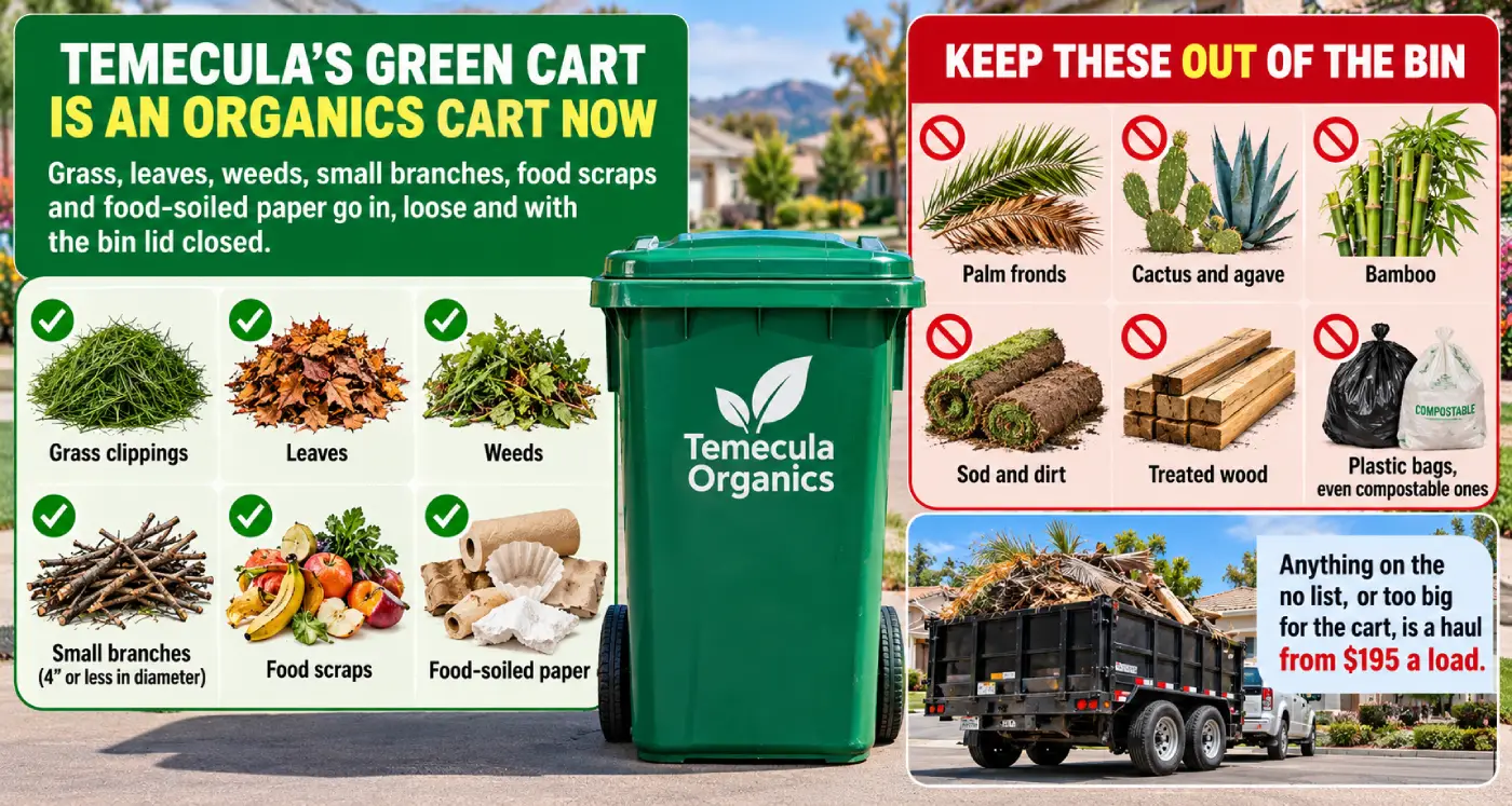 What goes in the green container